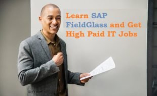 sap fieldglass training