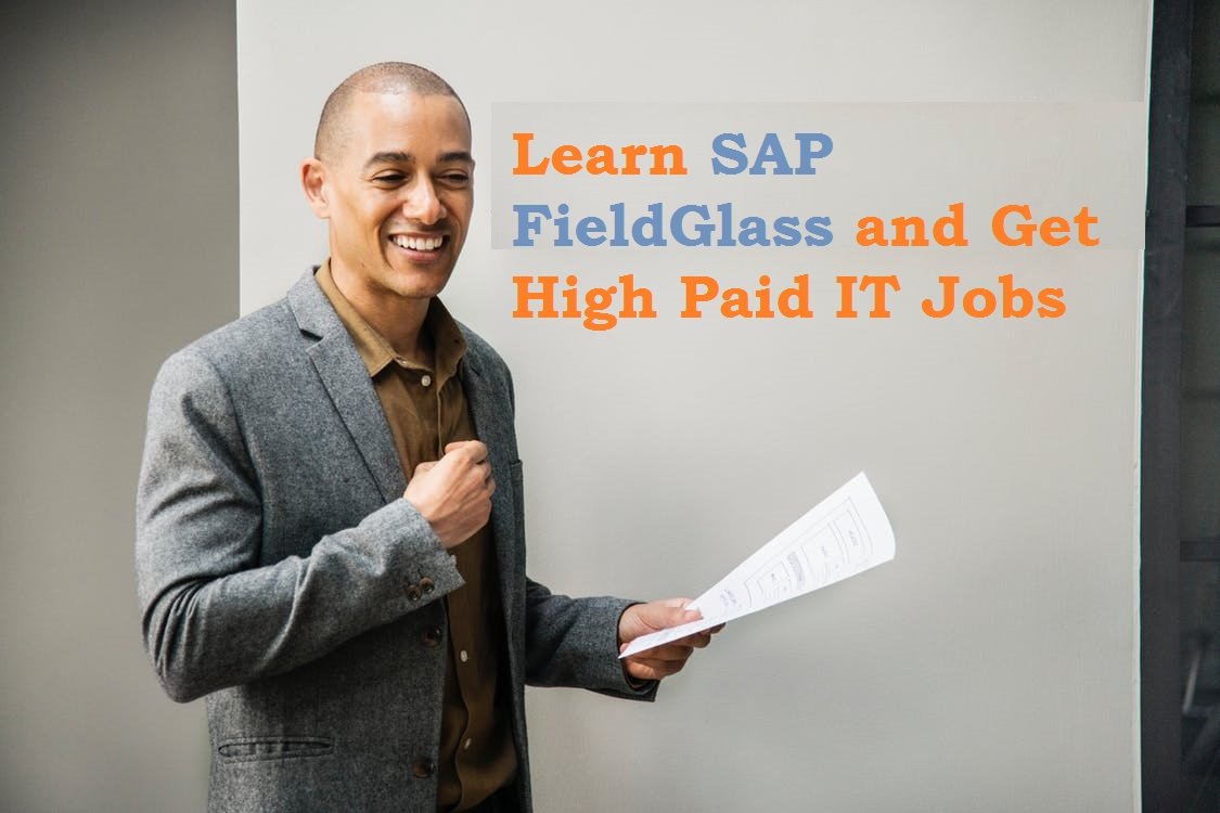 sap fieldglass training
